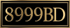 logo 8999BD